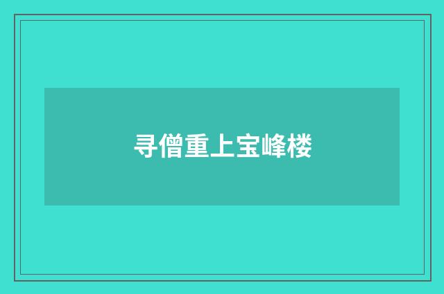 寻僧重上宝峰楼