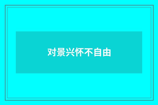 对景兴怀不自由