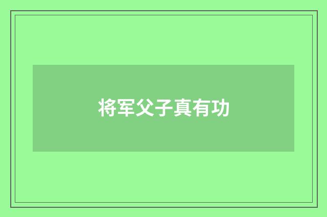 将军父子真有功