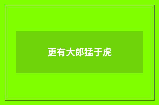 更有大郎猛于虎