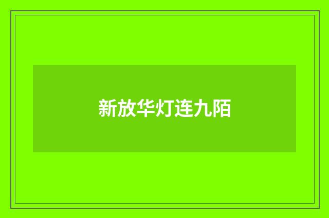 新放华灯连九陌