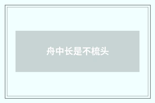 舟中长是不梳头