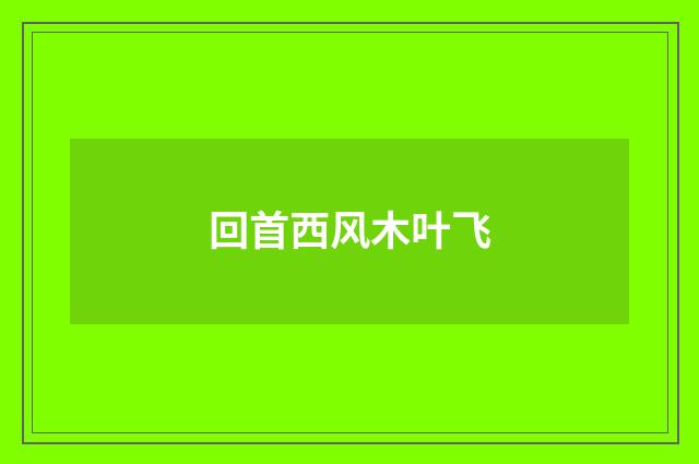 回首西风木叶飞