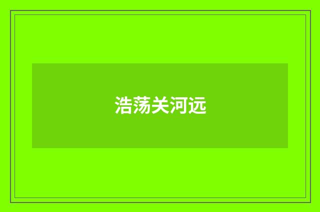 浩荡关河远
