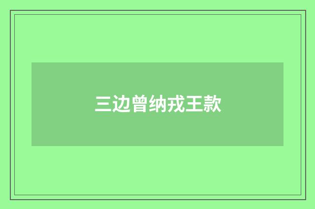 三边曾纳戎王款