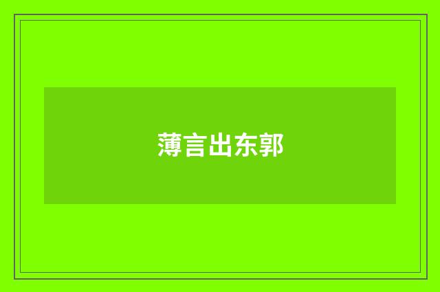 薄言出东郭