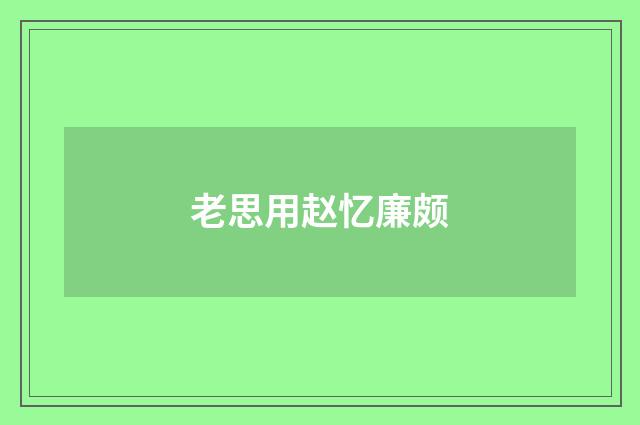 老思用赵忆廉颇