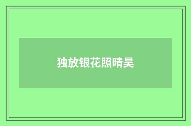 独放银花照晴昊