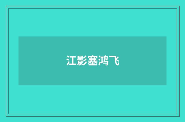 江影塞鸿飞