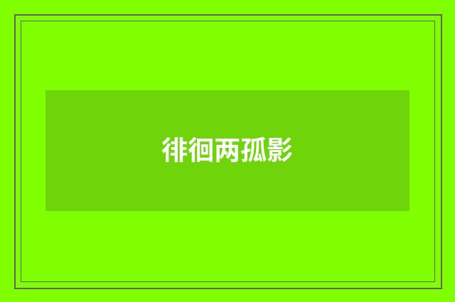 徘徊两孤影
