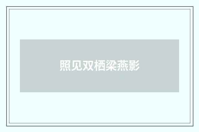 照见双栖梁燕影