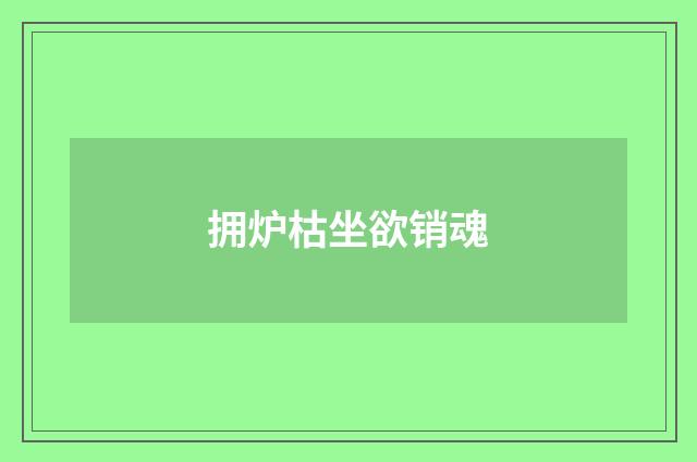 拥炉枯坐欲销魂