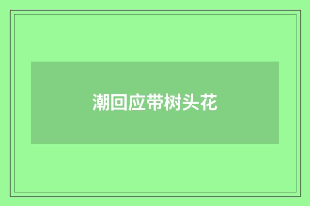 潮回应带树头花