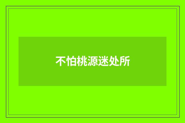 不怕桃源迷处所