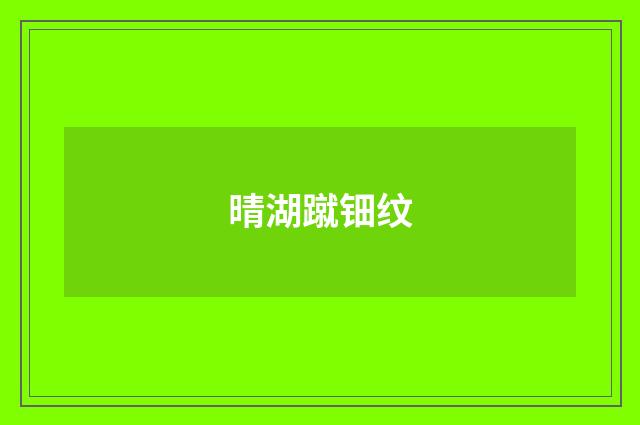 晴湖蹴钿纹