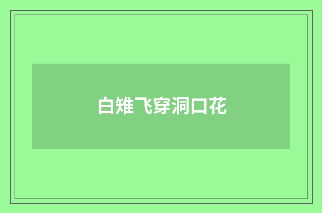 白雉飞穿洞口花