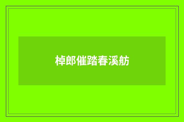 棹郎催踏春溪舫