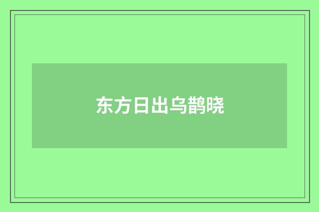 东方日出乌鹊晓