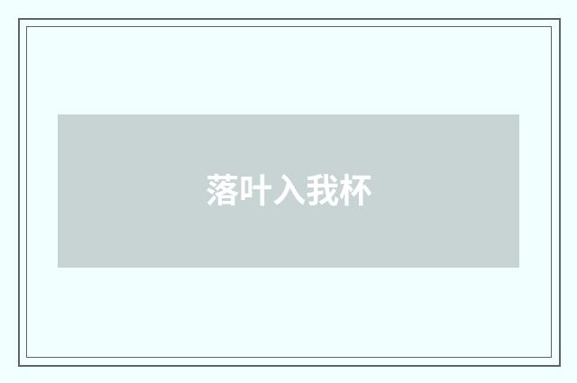 落叶入我杯
