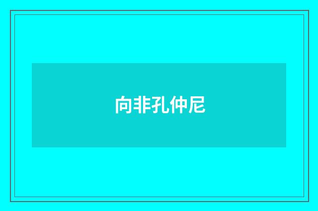 向非孔仲尼