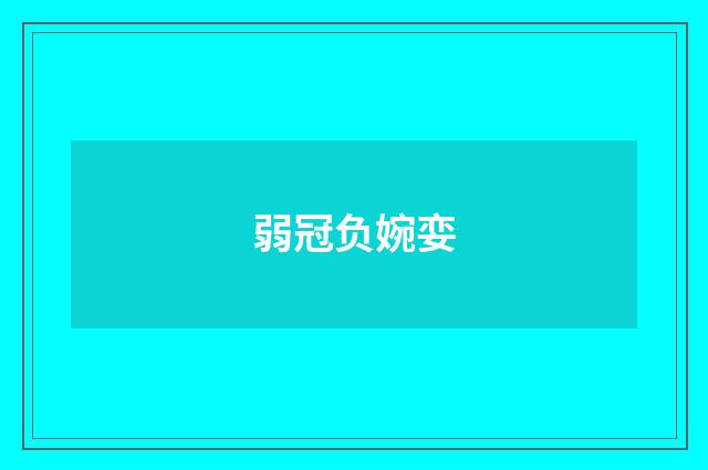弱冠负婉娈