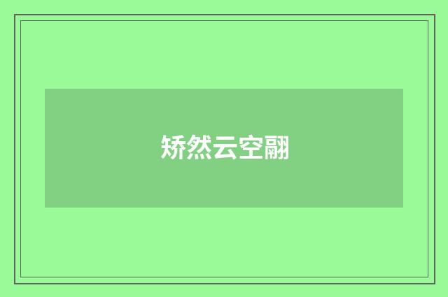 矫然云空翮