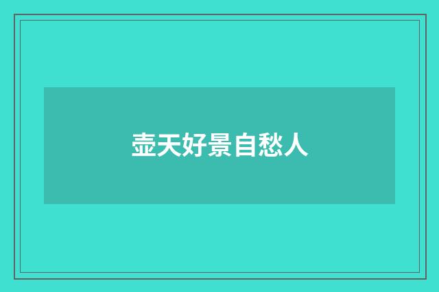 壶天好景自愁人