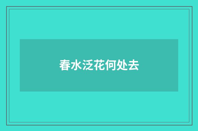 春水泛花何处去