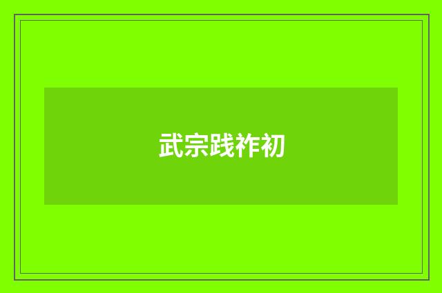 武宗践祚初