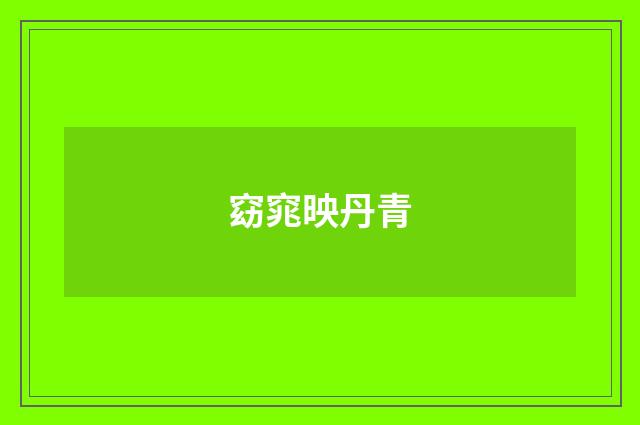窈窕映丹青