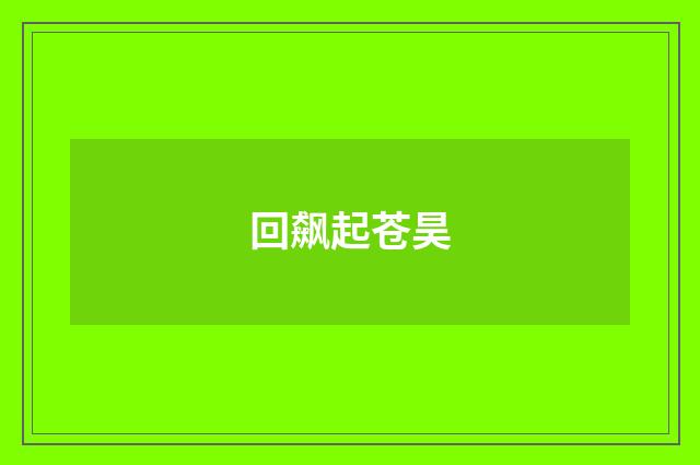 回飙起苍昊