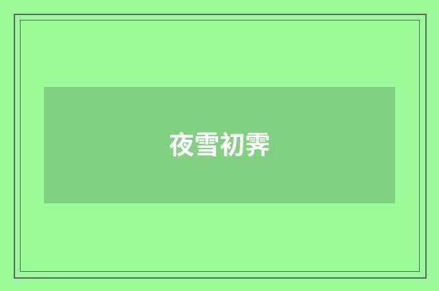 夜雪初霁