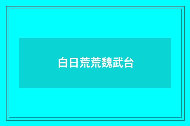 白日荒荒魏武台