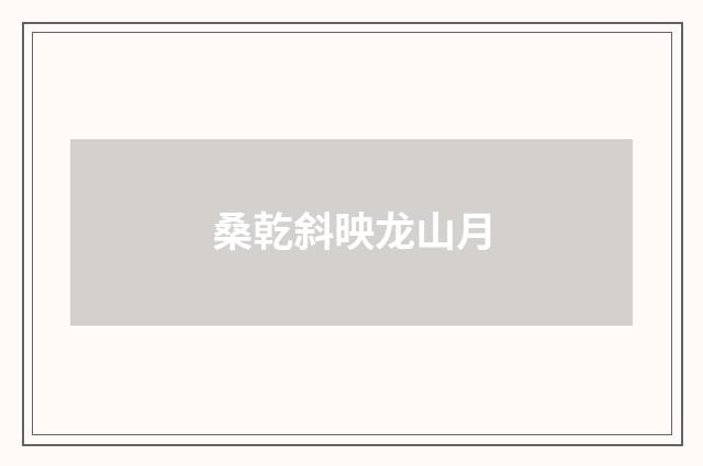 桑乾斜映龙山月