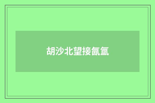 胡沙北望接氤氲