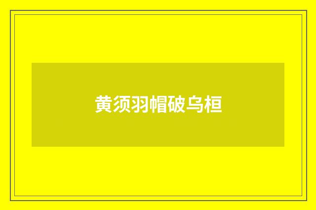 黄须羽帽破乌桓