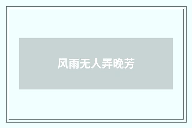 风雨无人弄晚芳