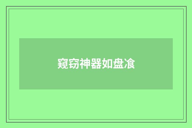 窥窃神器如盘飡