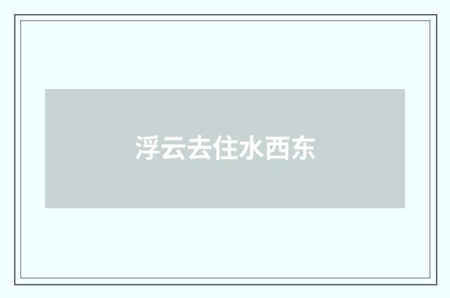 浮云去住水西东