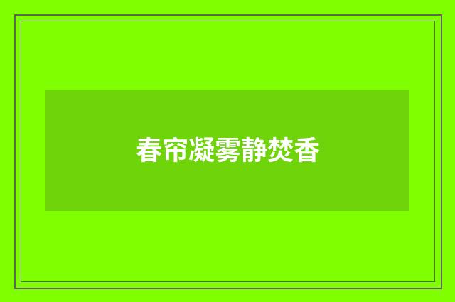 春帘凝雾静焚香