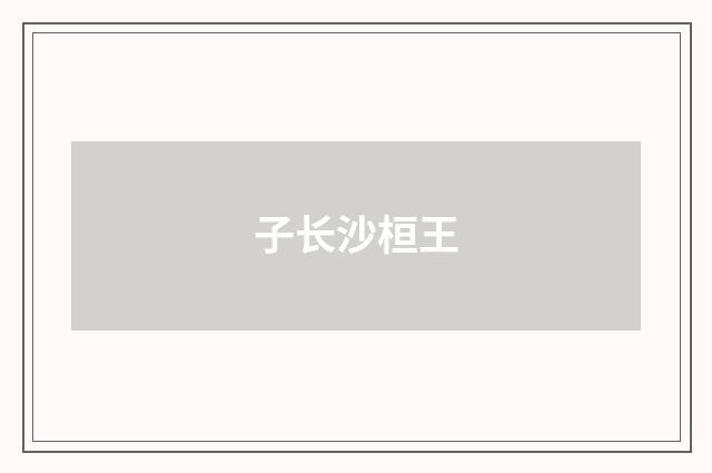 子长沙桓王