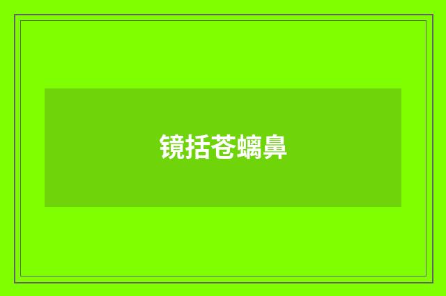 镜括苍螭鼻