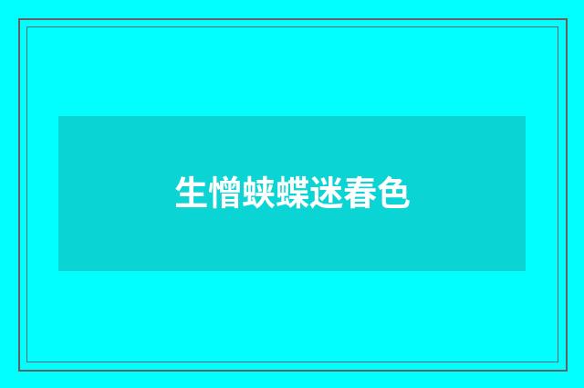 生憎蛱蝶迷春色