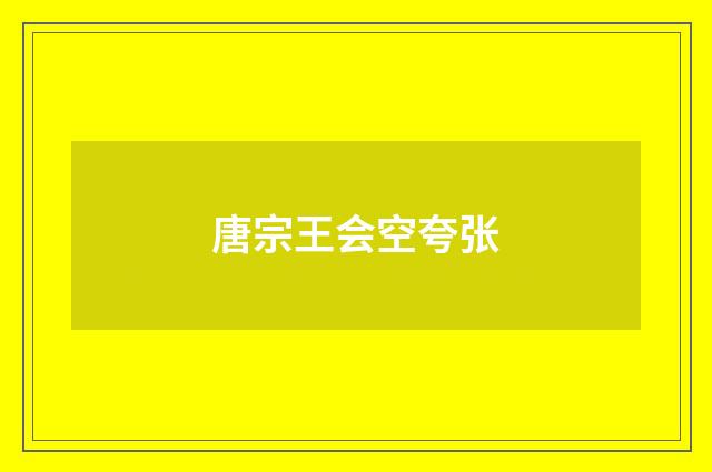 唐宗王会空夸张