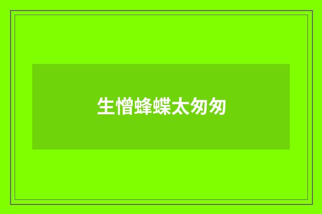 生憎蜂蝶太匆匆