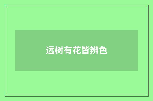 远树有花皆辨色