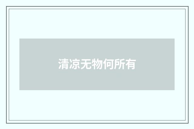 清凉无物何所有