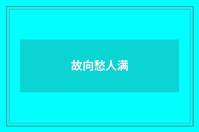 故向愁人满