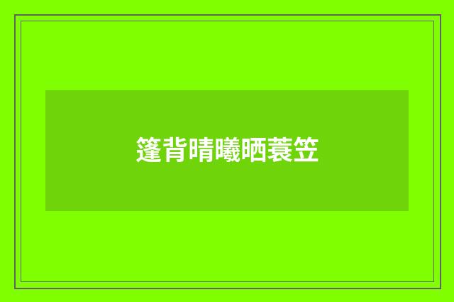 篷背晴曦晒蓑笠