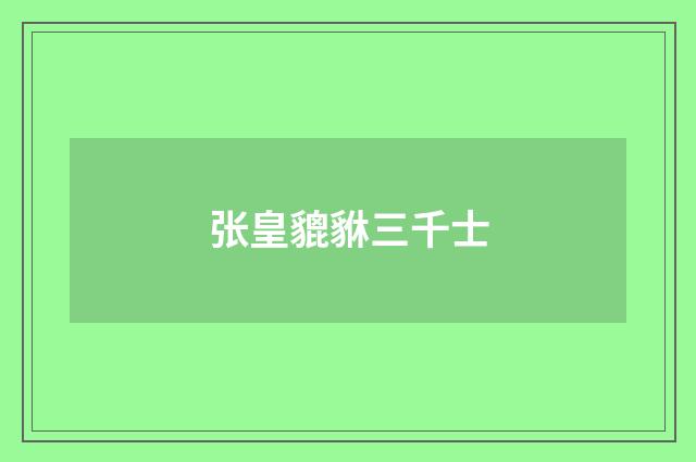 张皇貔貅三千士